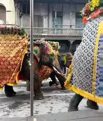 अहमदाबाद में रथ यात्रा के दौरान बेकाबू हुआ हाथी, बैरिकेड तोड़कर गली में घुसा अहमदाबाद में रथ यात्रा के दौरान बेकाबू हुआ हाथी, बैरिकेड तोड़कर गली में घुसा
