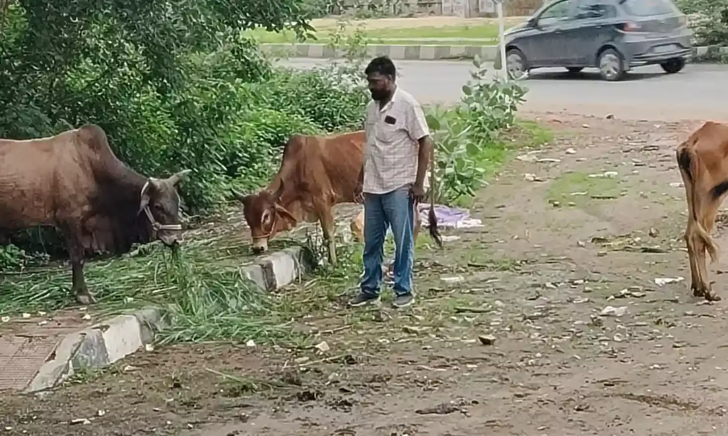 लौहार द्वारा किया जा रहा लम्बे से गौ-सेवा कार्य