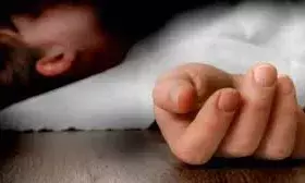 सर्पदंश से बुजुर्ग महिला व अचानक तबीयत बिगडऩे से दो साल के बच्चे की मौत, एक अन्य की बिगड़ी हालत