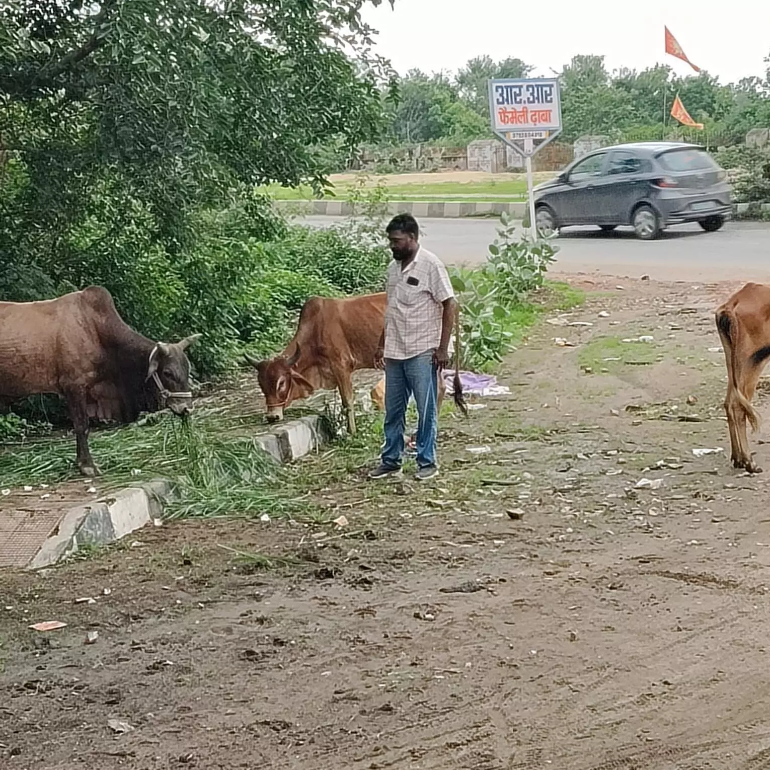 लौहार द्वारा किया जा रहा लम्बे से गौ-सेवा कार्य