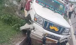 तेज रफ्तार   पिकअप मवेशी को बचाने के प्रयास में बेकाबू होकर   नाले गिरी