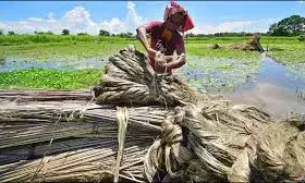 भारत ने बांग्लादेश से आयात पर फिर कसी नकेल