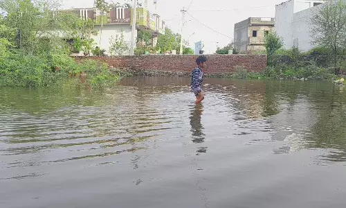 सिंचाई विभाग की लापरवाही से गांधी कॉलोनी व आसपास के क्षेत्र में गहराया जलभराव संकट