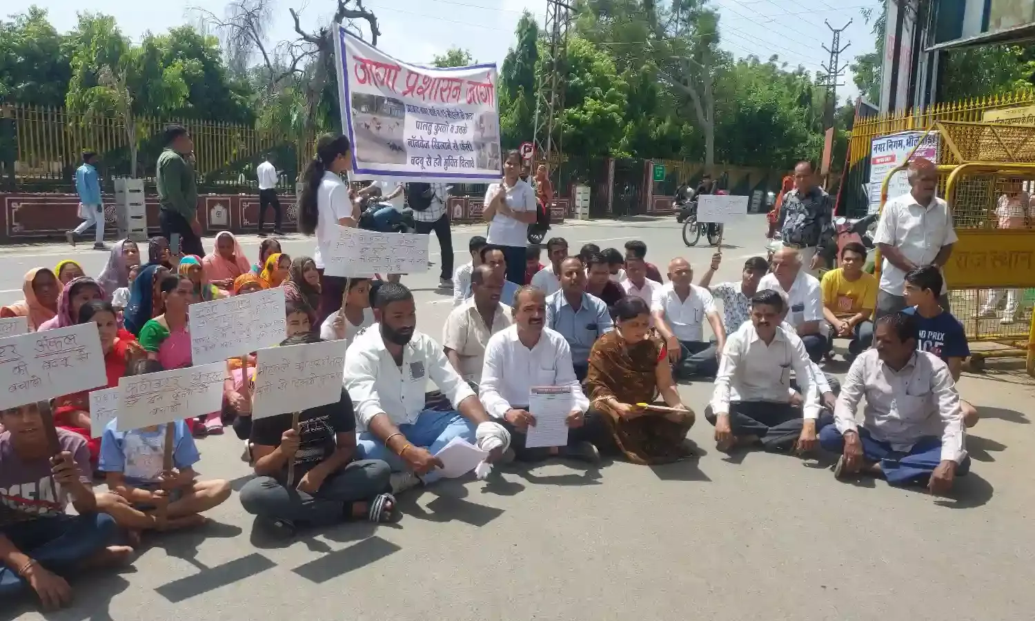 आजाद नगर में श्‍वानों के आतंक से मोहल्लेवासी परेशान