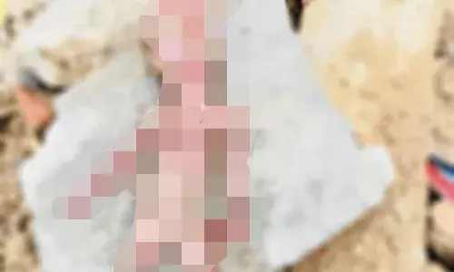 शाहपुरा में मिला नवजात का भ्रूण , मुंह में दबोच कर ले जाते  नजर आया श्‍वान