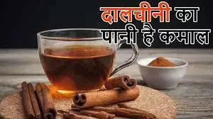 दालचीनी का पानी वजन घटाने और इम्यूनिटी बढ़ाने के लिए वरदान! दालचीनी का पानी वजन घटाने और इम्यूनिटी बढ़ाने के लिए वरदान!