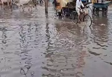 राजस्थान में मूसलधार बारिश से कई जिले जलमग्न, जनजीवन अस्त-व्यस्त राजस्थान में मूसलधार बारिश से कई जिले जलमग्न, जनजीवन अस्त-व्यस्त