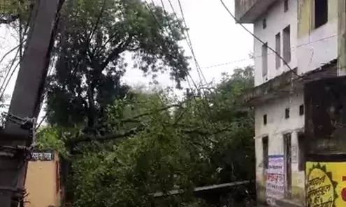 स्कूल के गेट के पास बिजली का खंभा टूटा, पेड़ गिरा ,सुवाणा मेजनहानि   बची