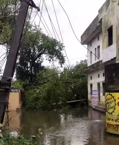 स्कूल के गेट के पास बिजली का खंभा टूटा, पेड़ गिरा ,सुवाणा मेजनहानि   बची