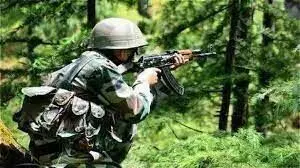 भारत-बांग्लादेश सीमा पर बांग्लादेशी तस्कर ढेर