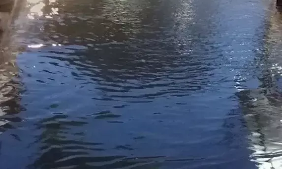 शाहपुरा भाणा गणेशजी मंदिर के सामने सड़क पर भरे पानी से परेशान लोग, पार्षद रचना मिश्रा ने जताई नाराजगी