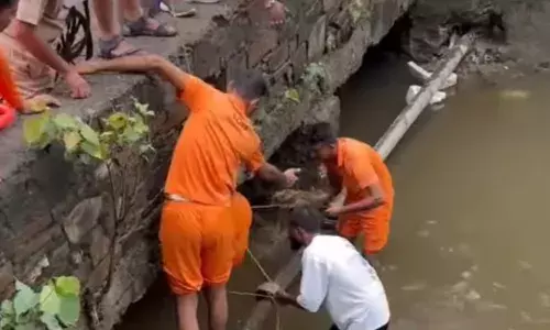 कल रात  बरसाती नाले में बहे नगर निगम कर्मचारी की नाले में  अटकी मिली लाश