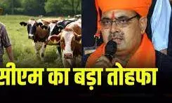 अब हर महीने मिलेगी मुख्यमंत्री दुग्ध उत्पादक संबल योजना की राशि