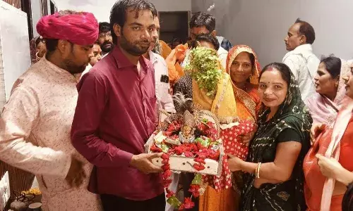 माधव गौशाला से कपासन तक: जब सांवलिया सेठ बने पावणा, तुलसी विवाह की परंपरा ने जीता सबका मन