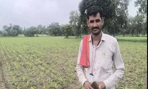 बीमार फसल से स्वस्थ भविष्य की ओर – महावीर प्रसाद की खेती को मिली नई राह"