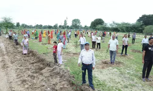 हर विभाग करे जिला परिषद के नवाचार का अनुसरण, उप वन देगा पर्यावरण संरक्षण की प्रेरणा :कलक्टर हसीजा हर विभाग करे जिला परिषद के नवाचार का अनुसरण, उप वन देगा पर्यावरण संरक्षण की प्रेरणा :कलक्टर हसीजा