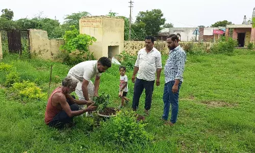 एक पेड़ माँ के नाम कार्यक्रम का हुआ आयोजन