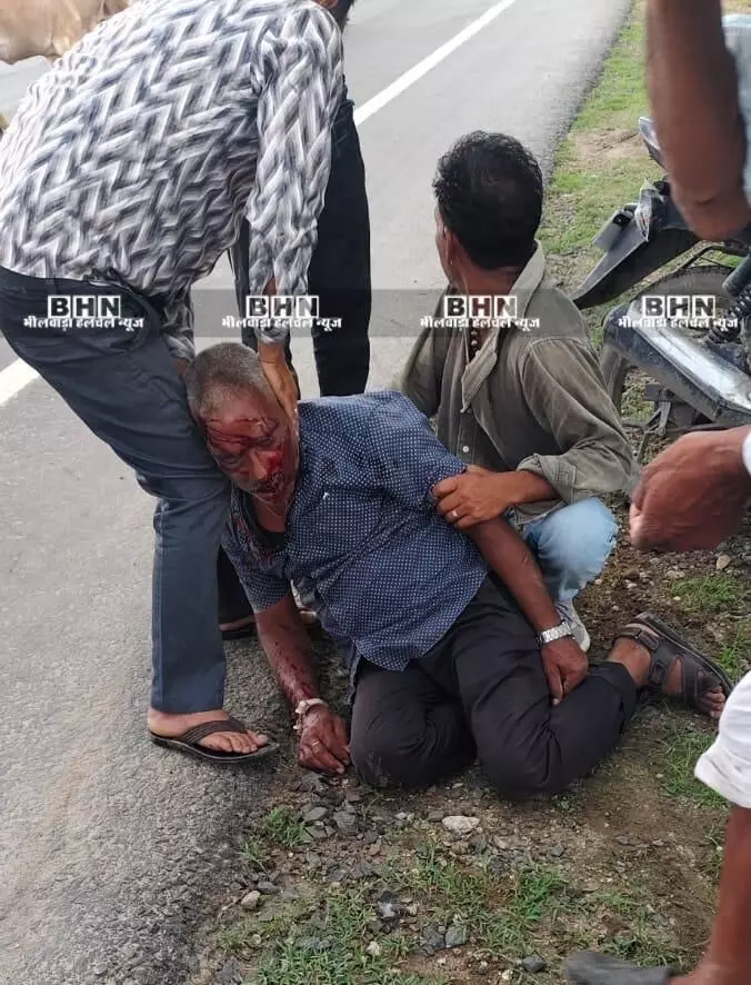 बाइक गाय से टकराई एक घायल बाइक गाय से टकराई एक घायल