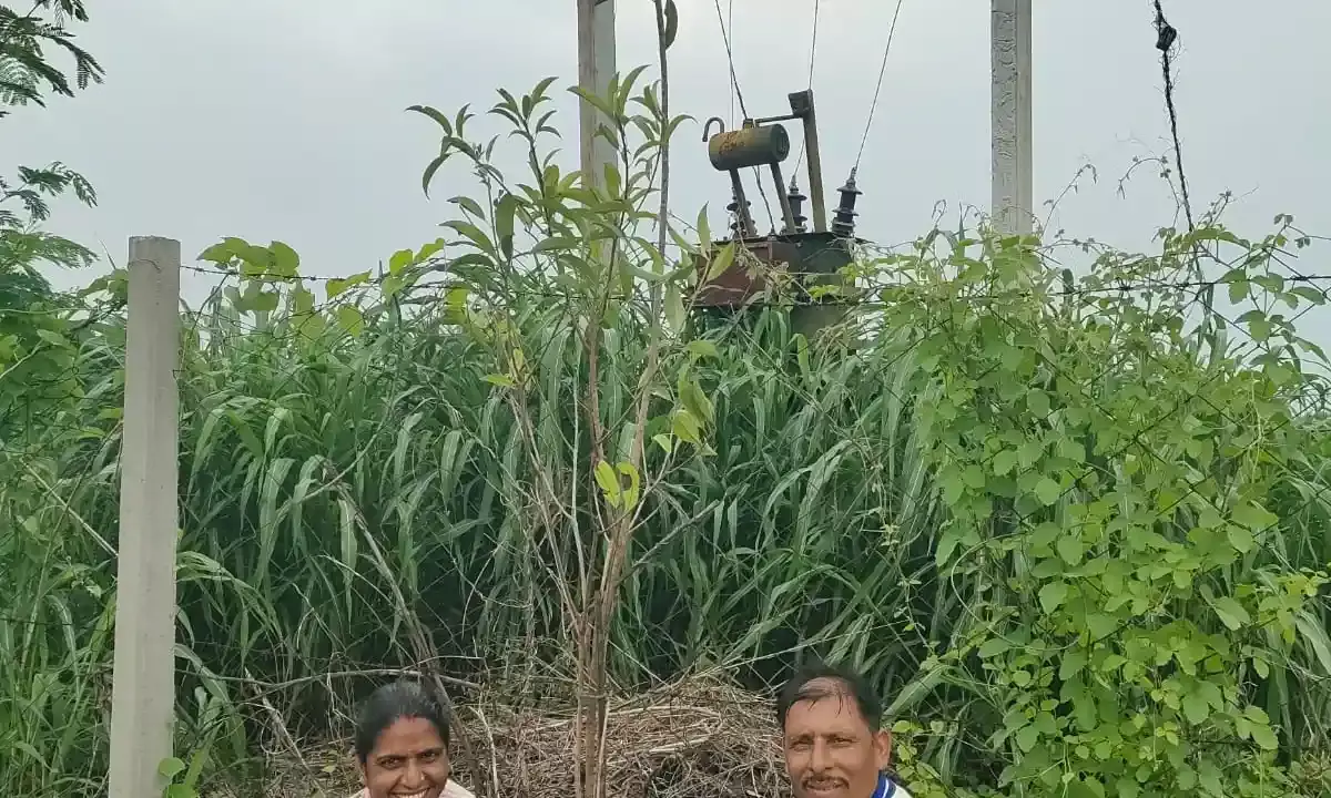 नगीन बाई की स्मृति में 51 पौधे लगाए