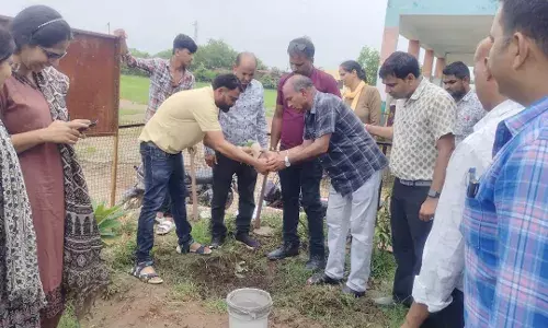 एक पेड़ मां के नाम के तहत पौधारोपण किया एक पेड़ मां के नाम के तहत पौधारोपण किया