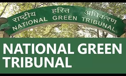 एनजीटी की सख्ती- एनएचएआई से मांगा जवाब, नियमों के अनुसार 8.5 लाख पौधे और लगाने की जरूरत एनजीटी की सख्ती- एनएचएआई से मांगा जवाब, नियमों के अनुसार 8.5 लाख पौधे और लगाने की जरूरत