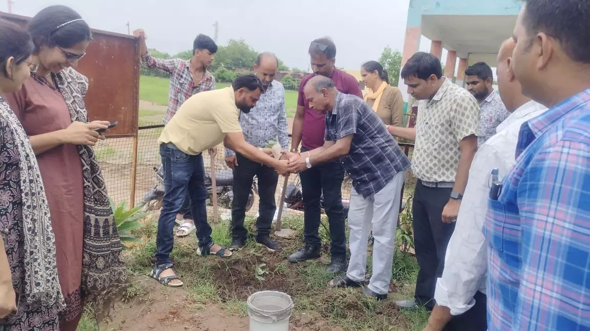एक पेड़ मां के नाम " के तहत पौधारोपण किया एक पेड़ मां के नाम " के तहत पौधारोपण किया
