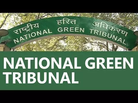 एनजीटी की सख्ती- एनएचएआई से मांगा जवाब, नियमों के अनुसार 8.5 लाख पौधे और लगाने की जरूरत