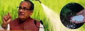 अमानक बीज खाद और कीटनाशकों के खिलाफ सख्त कानूनी प्रावधान लाने पर जोर,देश में खुलेगा फसल औषधि केंद्र ,शिवराज सिंह अमानक बीज खाद और कीटनाशकों के खिलाफ सख्त कानूनी प्रावधान लाने पर जोर,देश में खुलेगा फसल औषधि केंद्र ,शिवराज सिंह