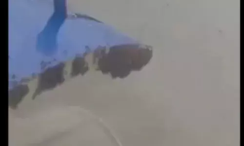 सूरत-जयपुर  आ रहे विमान पर मधुमक्खियों ने बोला हमला, एक घंटा देरी से उड़ा