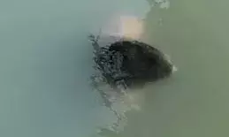 बनास नदी में तैरती मिली अज्ञात व्यक्ति की लाश, नही हुई पहचान