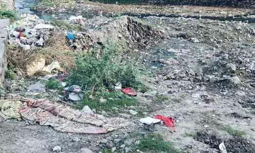 सफाई तो कर दी जाती हैं, लेकिन नहीं उठाया जाता हे कचरा