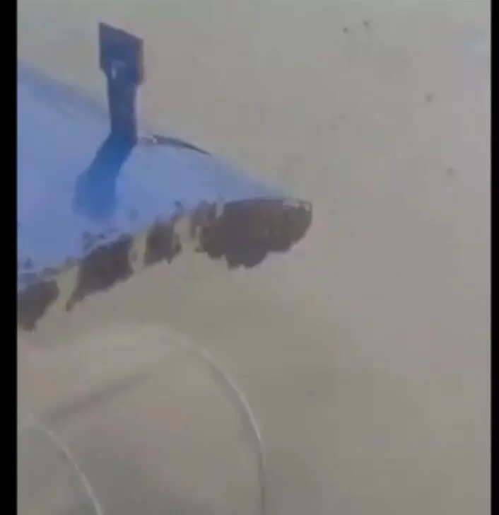 सूरत-जयपुर आ रहे विमान पर मधुमक्खियों ने बोला हमला, एक घंटा देरी से उड़ा सूरत-जयपुर आ रहे विमान पर मधुमक्खियों ने बोला हमला, एक घंटा देरी से उड़ा