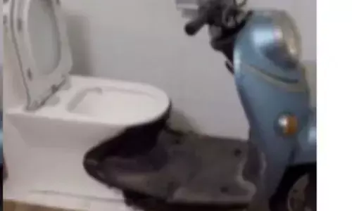 अब देखिए, इसने क्या किया...