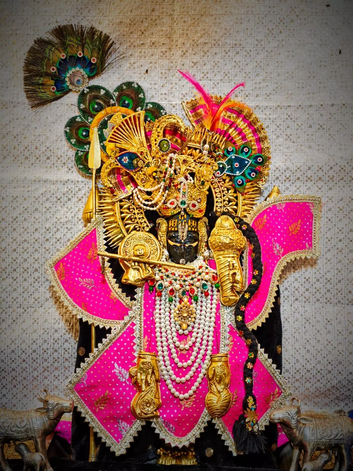 जय श्री कोटड़ी श्याम दरबार आज मंगला श्रृंगार आरती के दर्शन दिनांक     09-07-2025