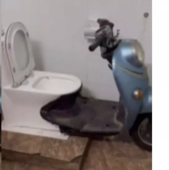 अब देखिए, इसने क्या किया... अब देखिए, इसने क्या किया...