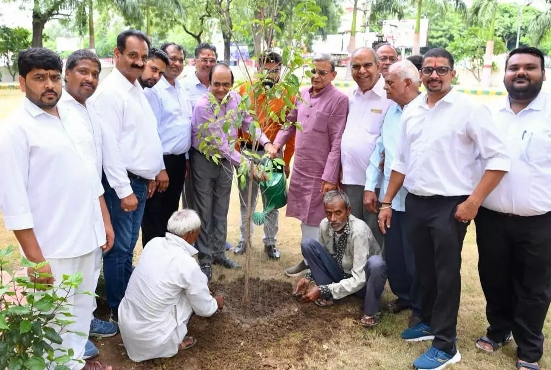 इन्टेक ने सर्किट हाउस में मोलश्री का पौधा रोपित किया इन्टेक ने सर्किट हाउस में मोलश्री का पौधा रोपित किया