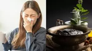 बारिश में जुकाम-खांसी से कैसे बचें? आयुर्वेद के असरदार नुस्खे