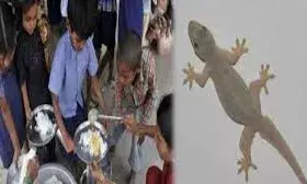 चावल के साथ उबल गई थी मरी हुई छिपकली, मध्याह्न भोजन खाने के बाद 48 से अधिक बच्चे बीमार