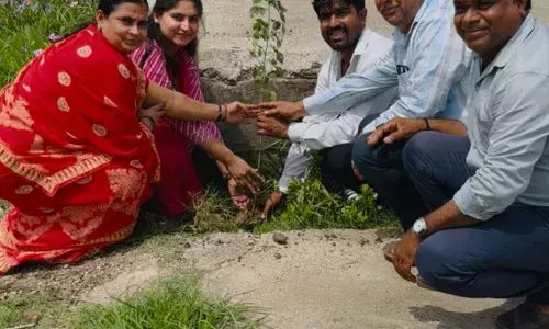 गाडरी ने किया पोधारोपण