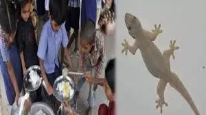 चावल के साथ उबल गई थी मरी हुई छिपकली, मध्याह्न भोजन खाने के बाद 48 से अधिक बच्चे बीमार