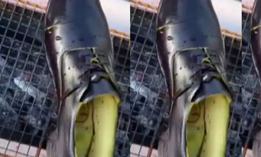 हे भगवान! इसे खाना है या पहनना है? मसाला डालकर आदमी ने पकाया जूता हे भगवान! इसे खाना है या पहनना है? मसाला डालकर आदमी ने पकाया जूता