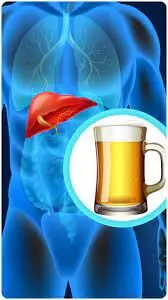 शराब से डैमेज लीवर कितने दिनों में ठीक होने लग जाता है?