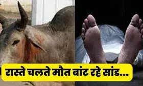 बात कर रहे युवक पर सांड का हमला,   मौत