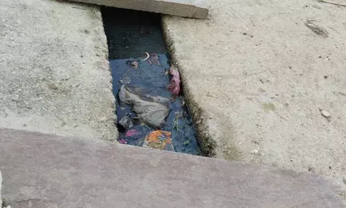 साफ सफाई के नाम पर ग्राम पंचायत चीड़ खेड़ा में हो रही लापरवाही