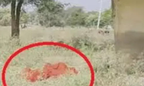 शास्त्रीनगर में पति की मौत से आहत महिला ने  पानी की टंकी से कूद कर  कर ली आत्महत्या