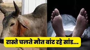 बात कर रहे युवक पर सांड का हमला,   मौत