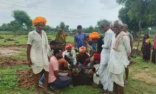 पौधे लगा सरपंच प्रतिनिधि ने ली सुरक्षा की जिम्मेदारी, तारबंदी की घोषणा
