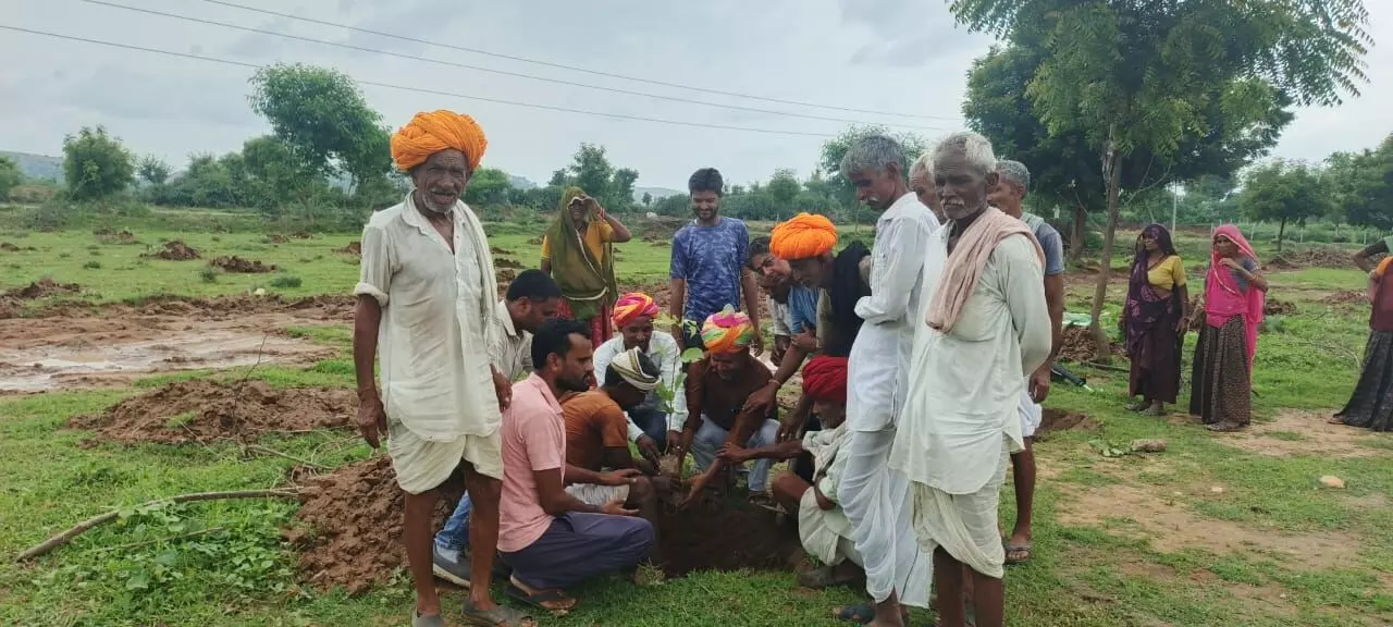 पौधे लगा सरपंच प्रतिनिधि ने ली सुरक्षा की जिम्मेदारी, तारबंदी की घोषणा पौधे लगा सरपंच प्रतिनिधि ने ली सुरक्षा की जिम्मेदारी, तारबंदी की घोषणा