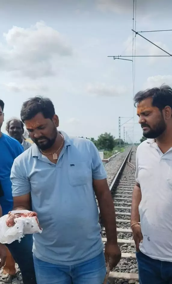 ट्रेन की चपेट में आई गाय की मौत, चार दिन से हो रही घटनायें