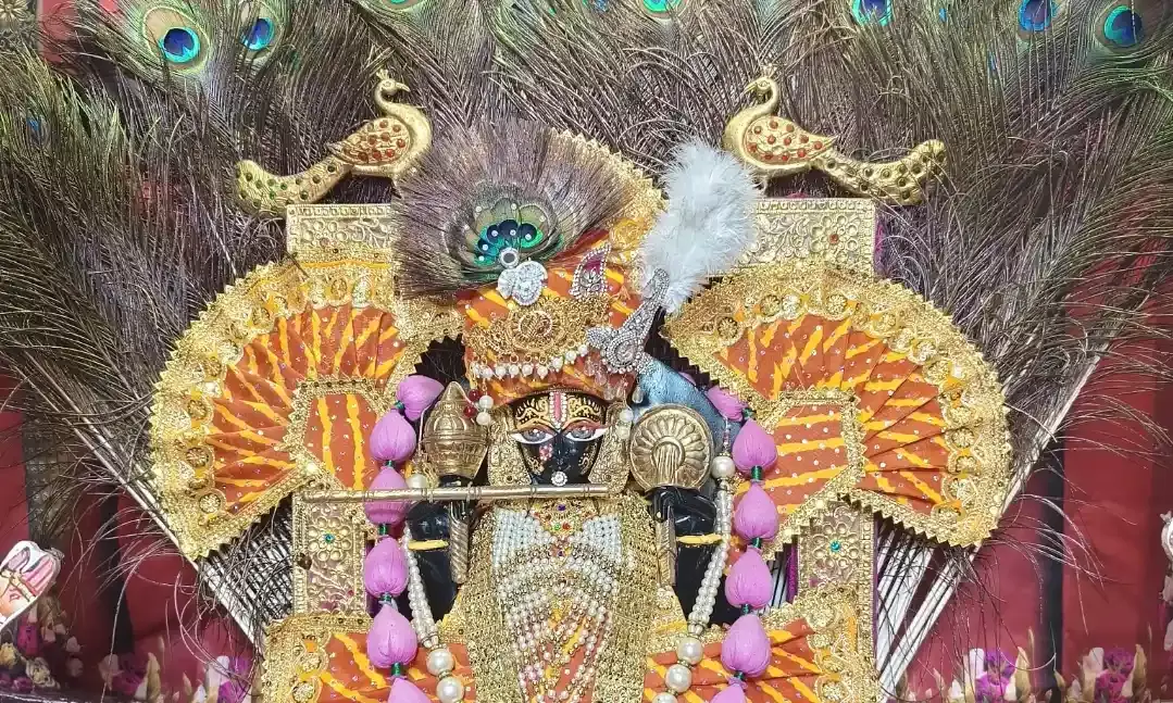 सांवलिया सेठ मंदिर में भगवान का लहरिया श्रृंगार, ठाकुर जी के झूले पर दर्शन सांवलिया सेठ मंदिर में भगवान का लहरिया श्रृंगार, ठाकुर जी के झूले पर दर्शन